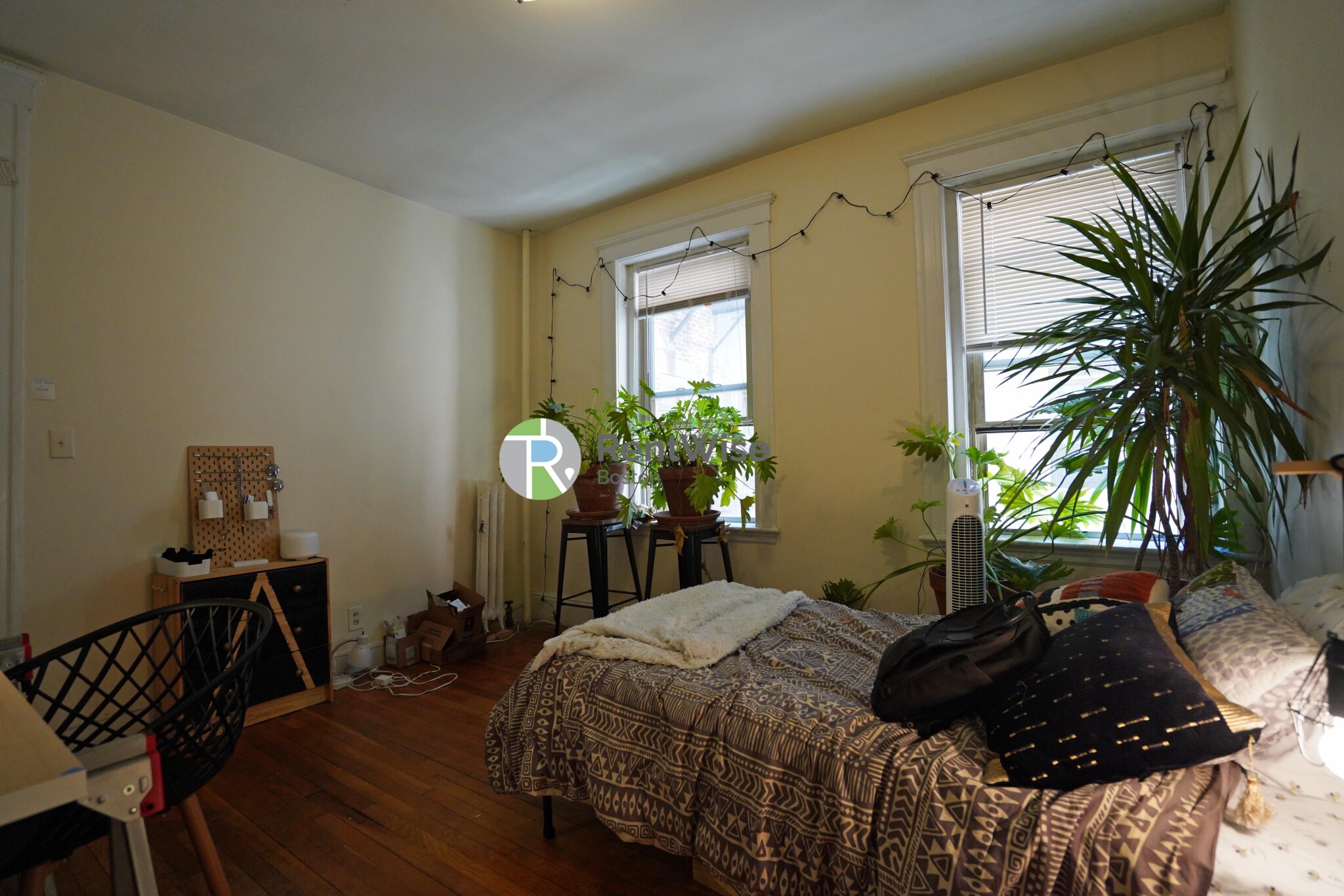 25 Queensberry St, Fenway