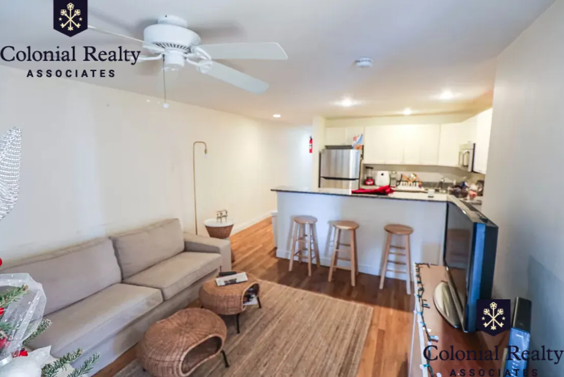 56 Egmont St, North Brookline