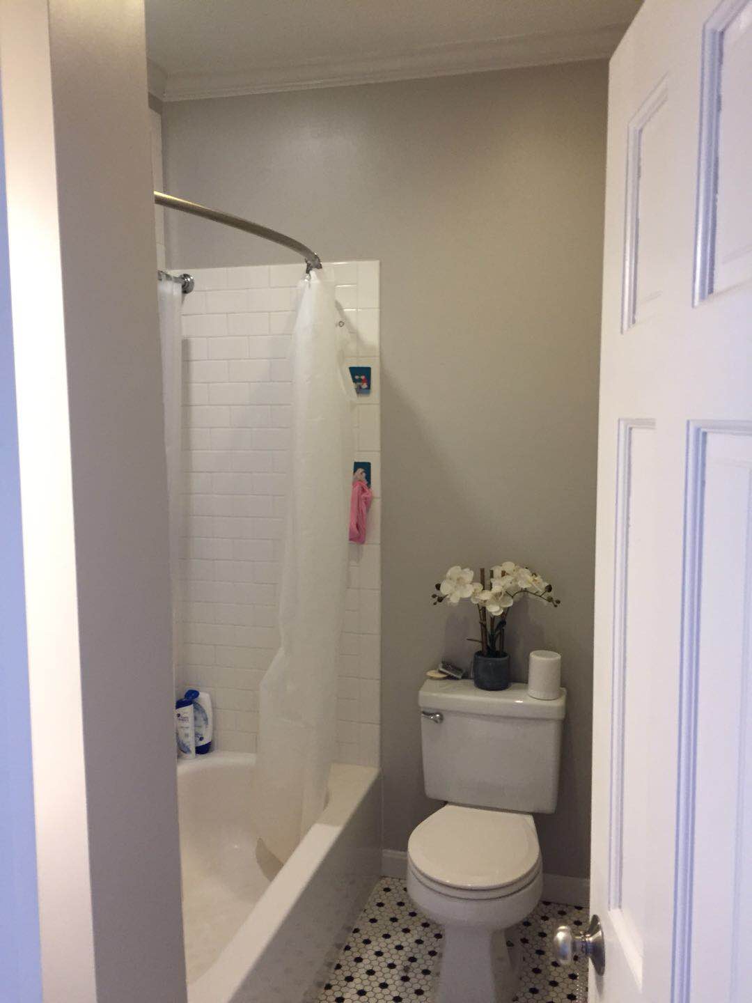 18 Haviland St, Fenway