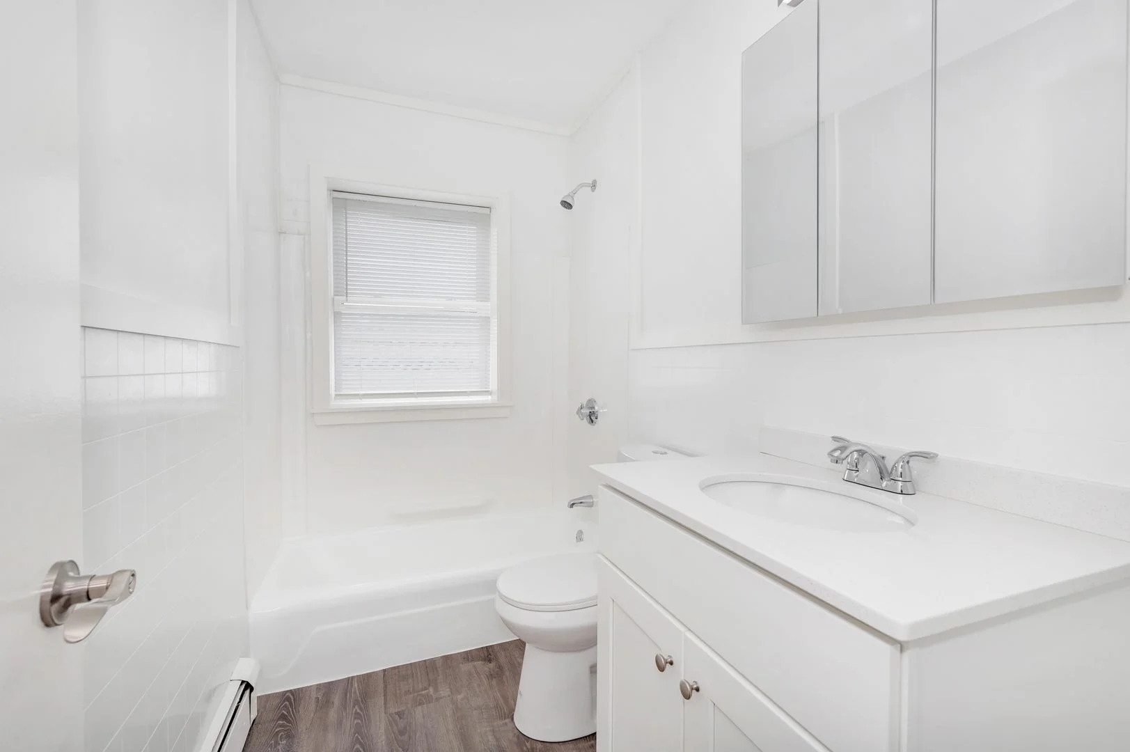 1045 River St, Hyde Park