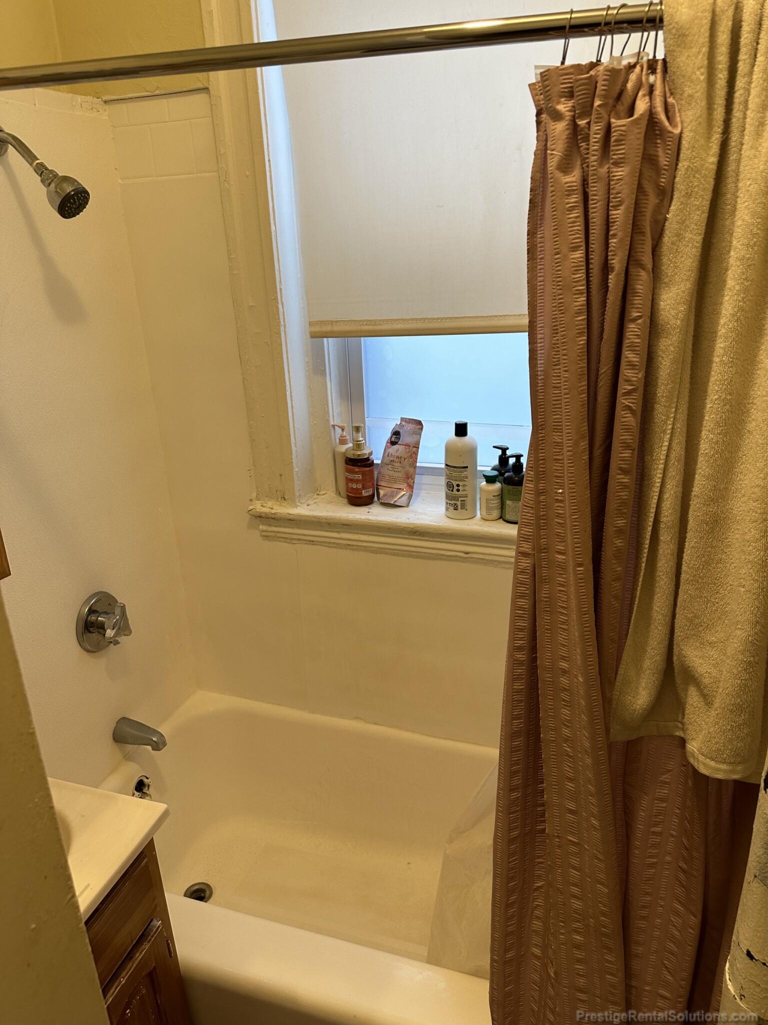 217 Kelton St, Brighton