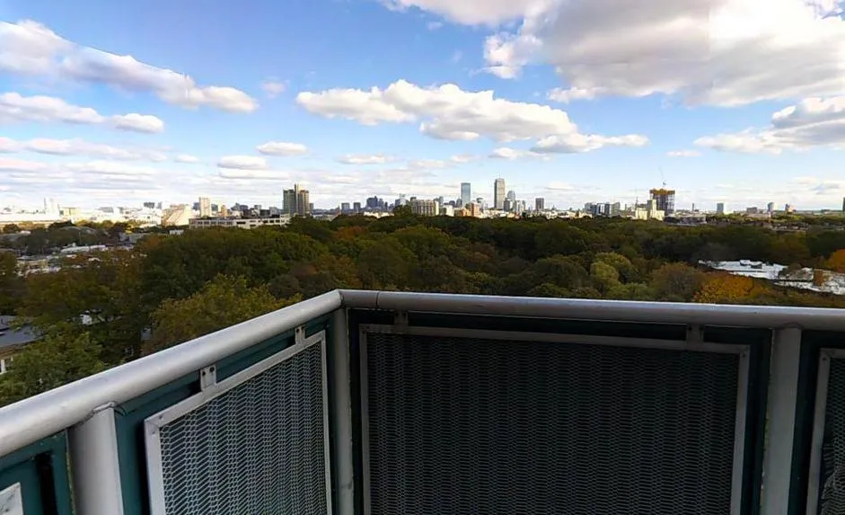 175 Freeman St, North Brookline