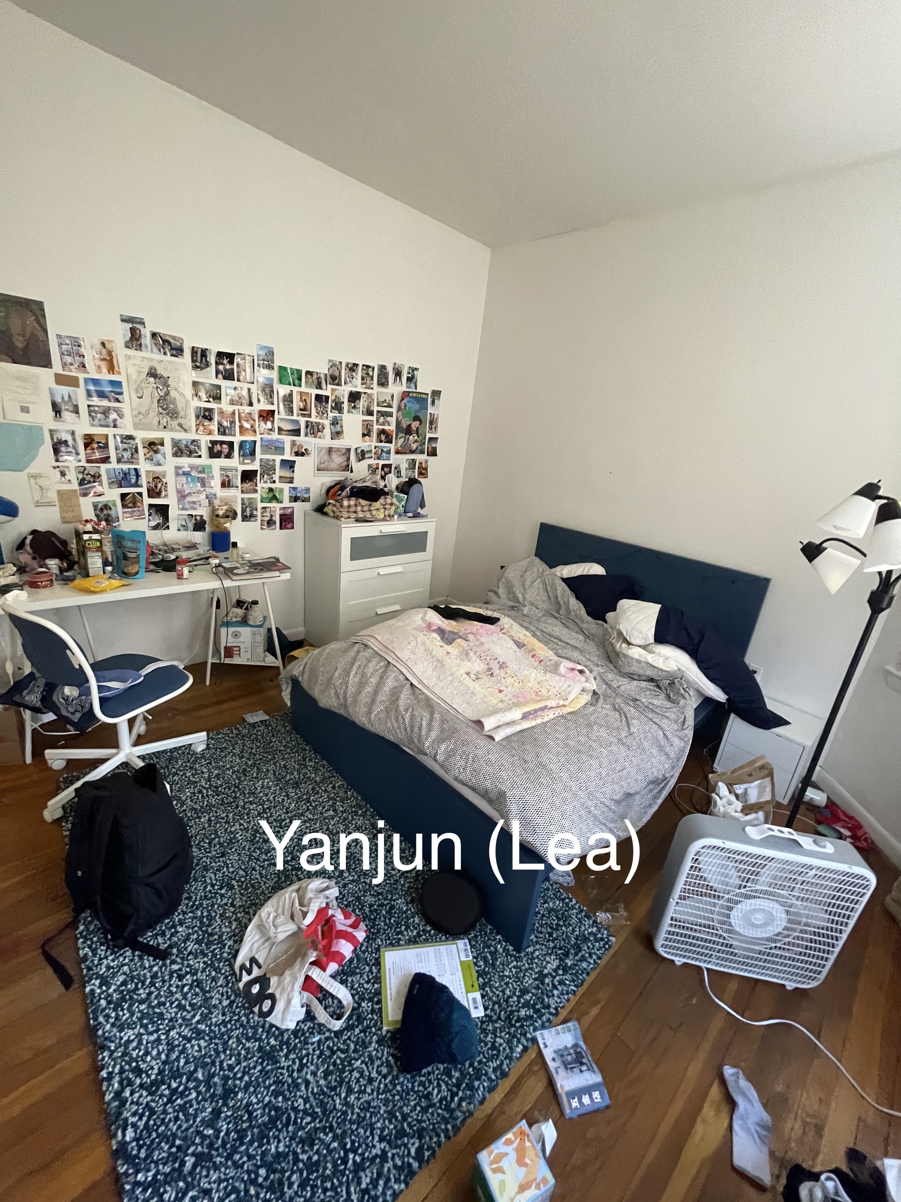 48 Brighton Ave, Brighton