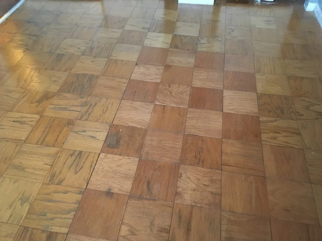 1203 Windsor, Framingham