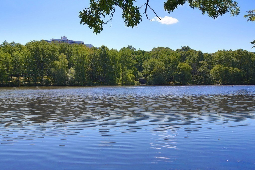 44 Washington St, Brookline Village