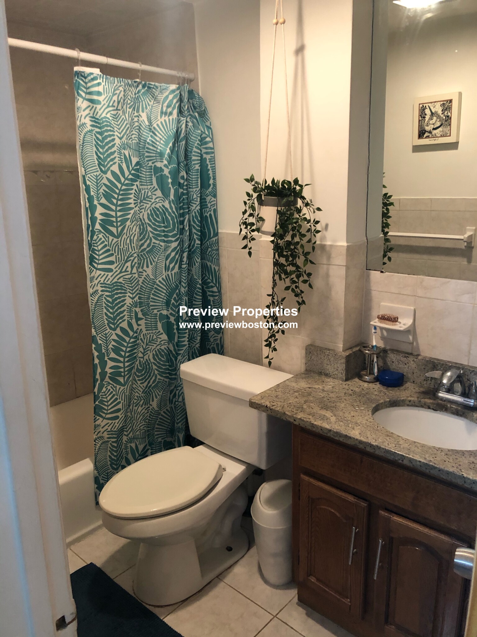 8 Starr Ln, Jamaica Plain