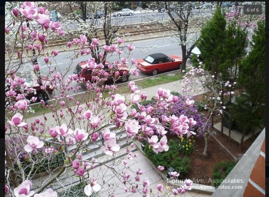 1933 Commonwealth Ave, Brighton