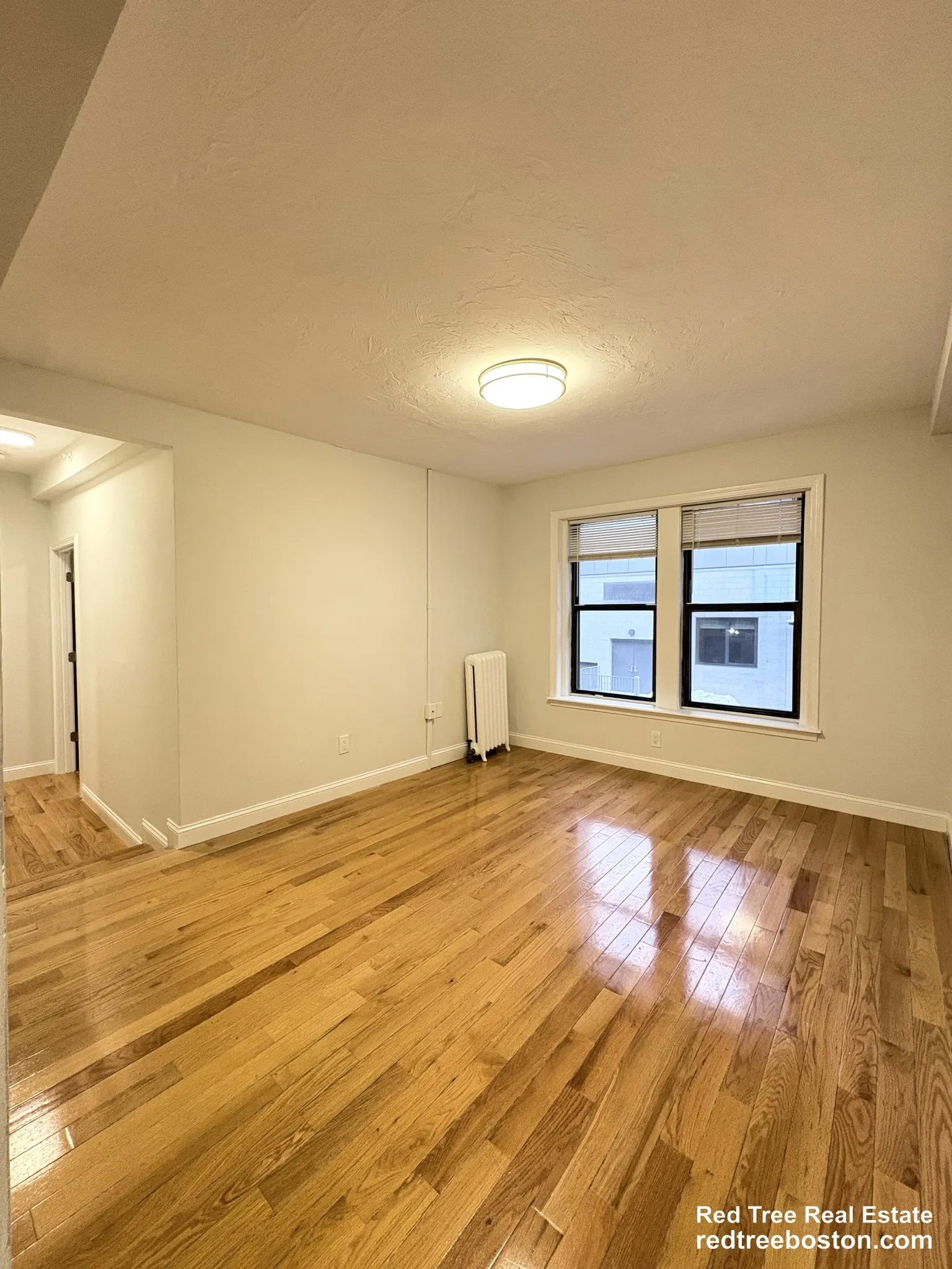 19 Peterborough St, Fenway