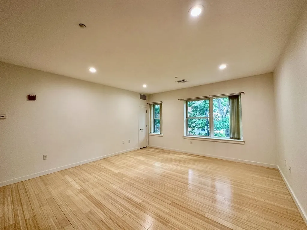 99 Chestnut Hill Ave, Brighton