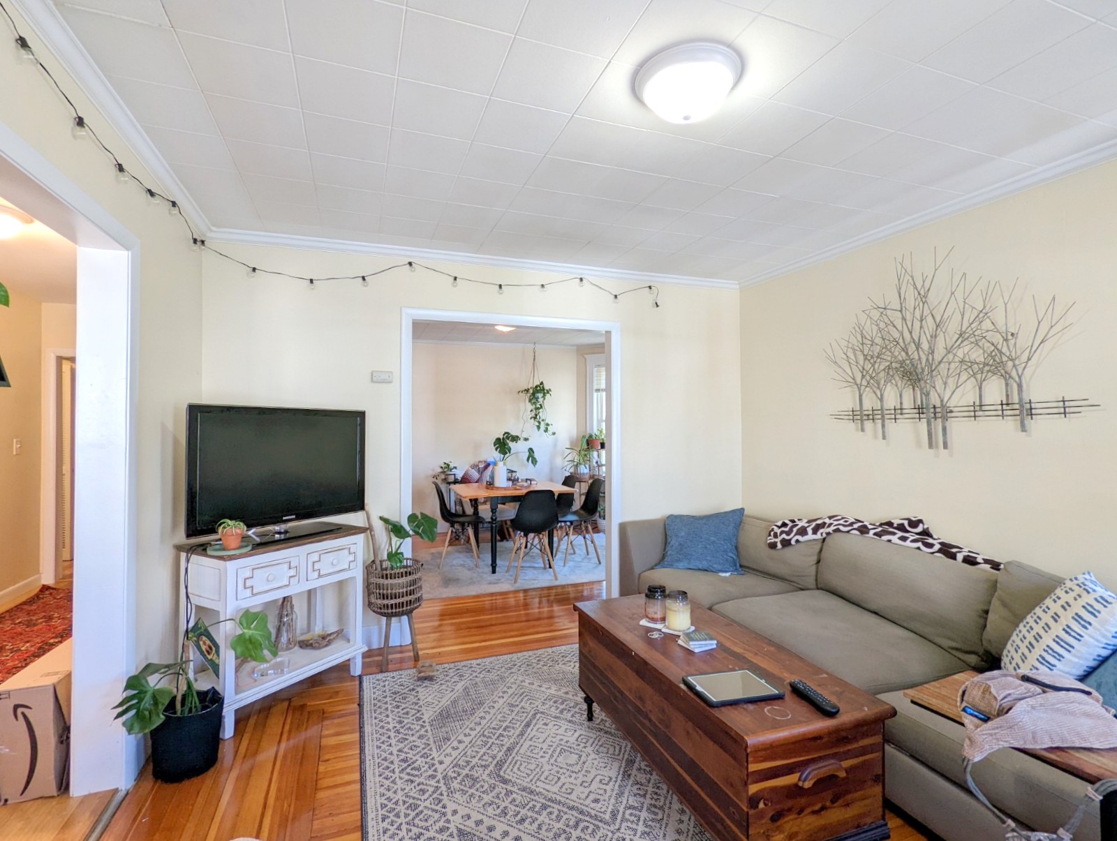 7 Belknap St, West Somerville