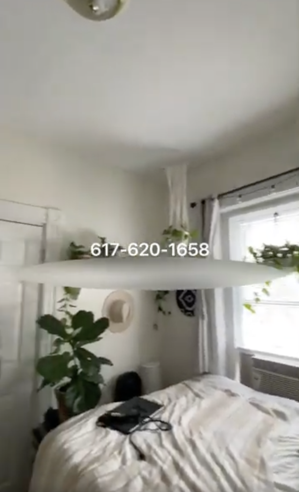 81 Brighton Ave, Allston