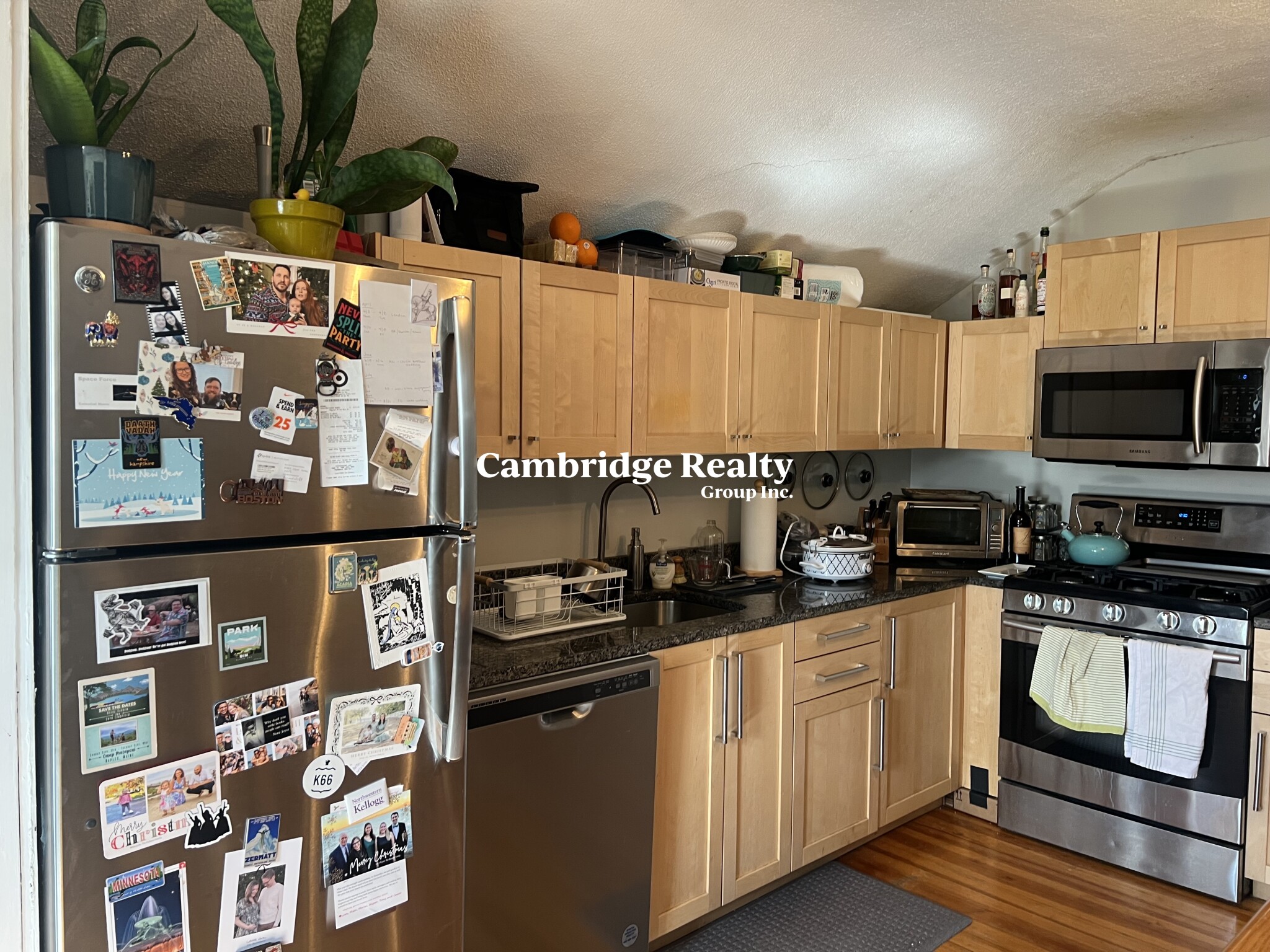 44 Berkeley St, Spring Hill