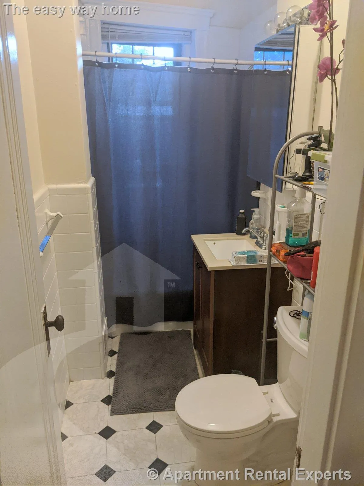 1558 Massachusetts Ave, Harvard Square