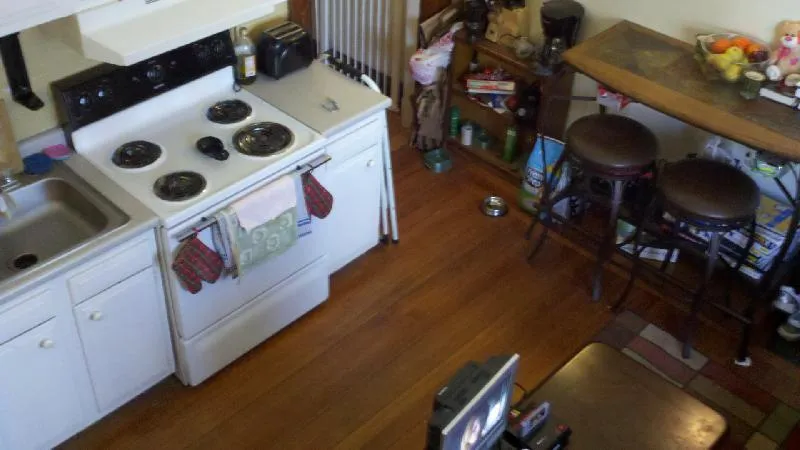 266 Chestnut Hill Ave, Brighton