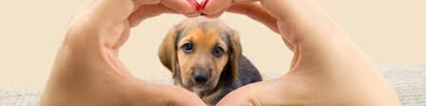 380 W Broadway, South Boston