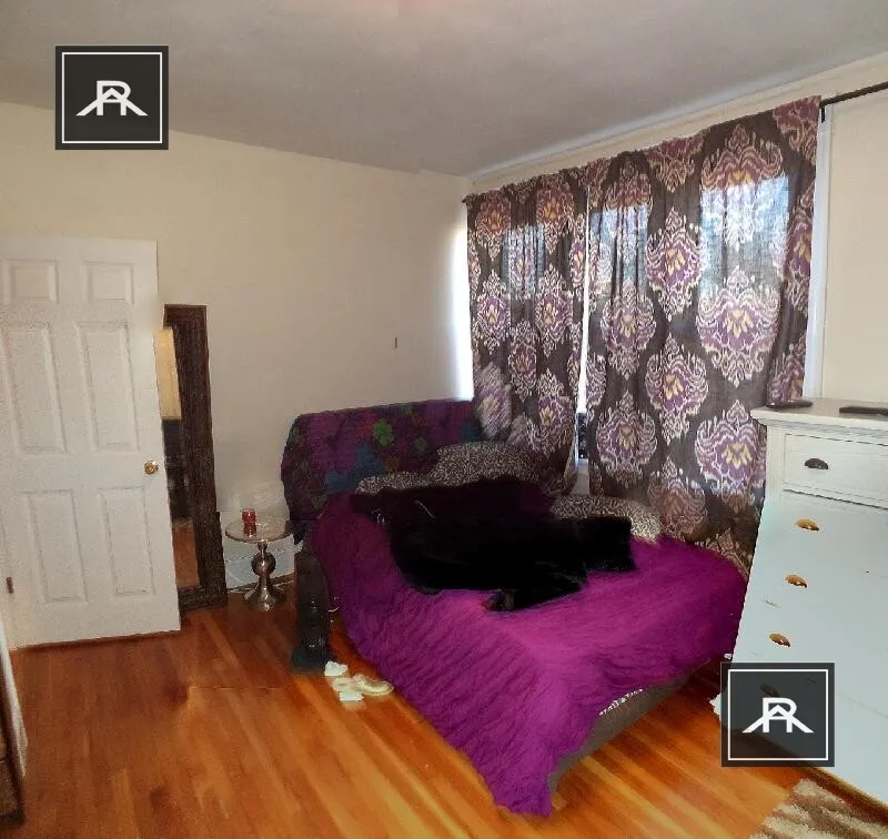 56 Egmont St, North Brookline