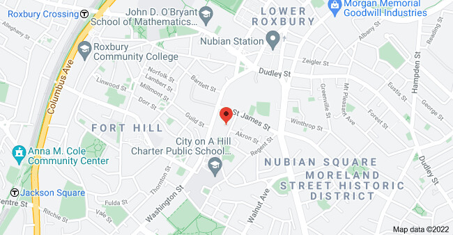 21 Alpine St, Roxbury