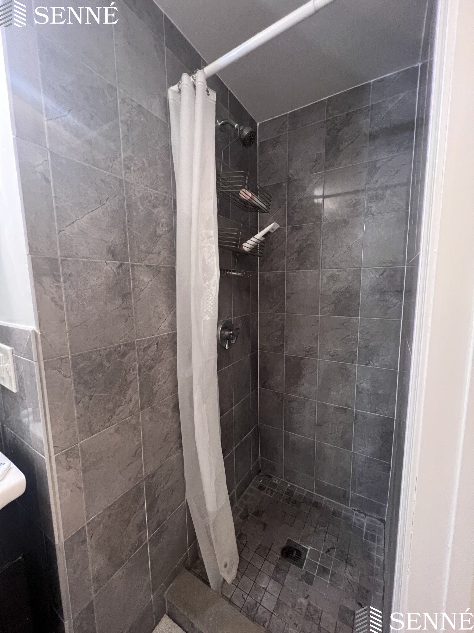 3 Linnaean St, Neighborhood Nine