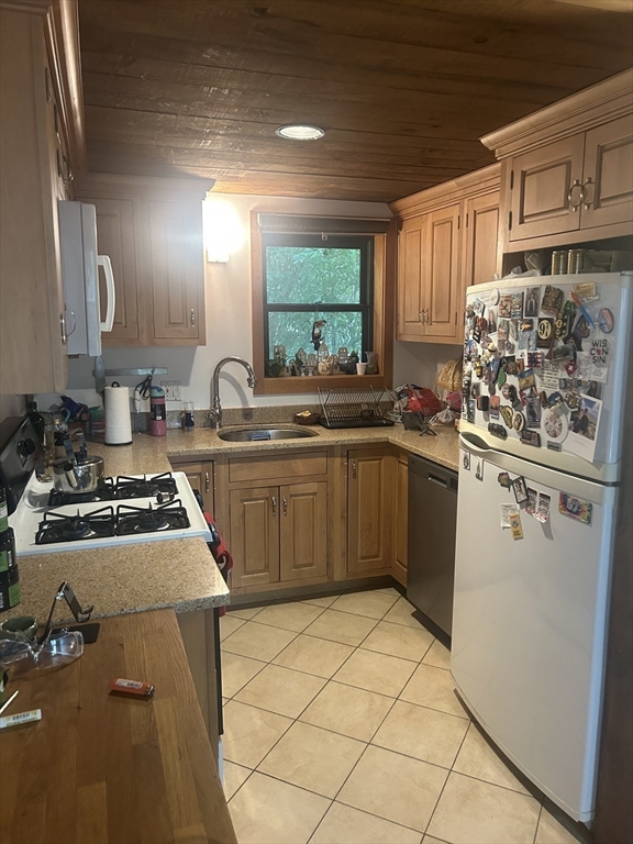 11 Lilac, Wellington-Harrington