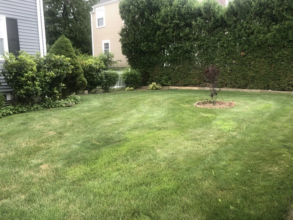 17 Hatfield Rd, West Newton