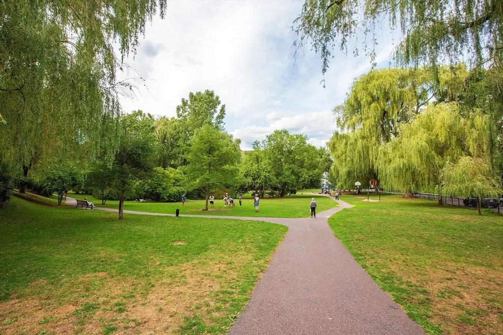 41 Park, Coolidge Corner