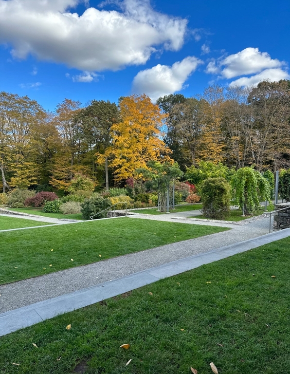 9 South St, Jamaica Plain