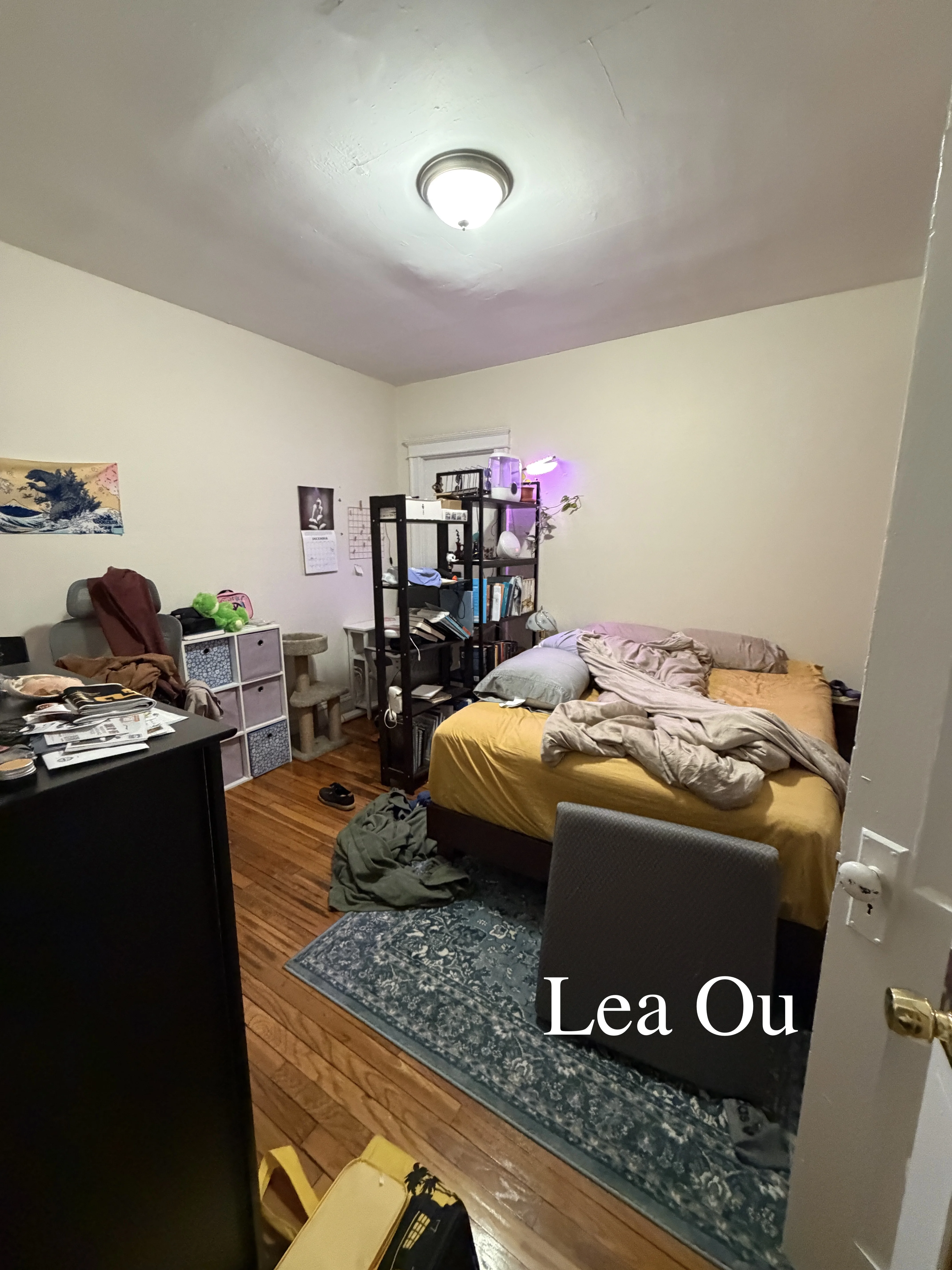 1144 Commonwealth Ave, North Brookline
