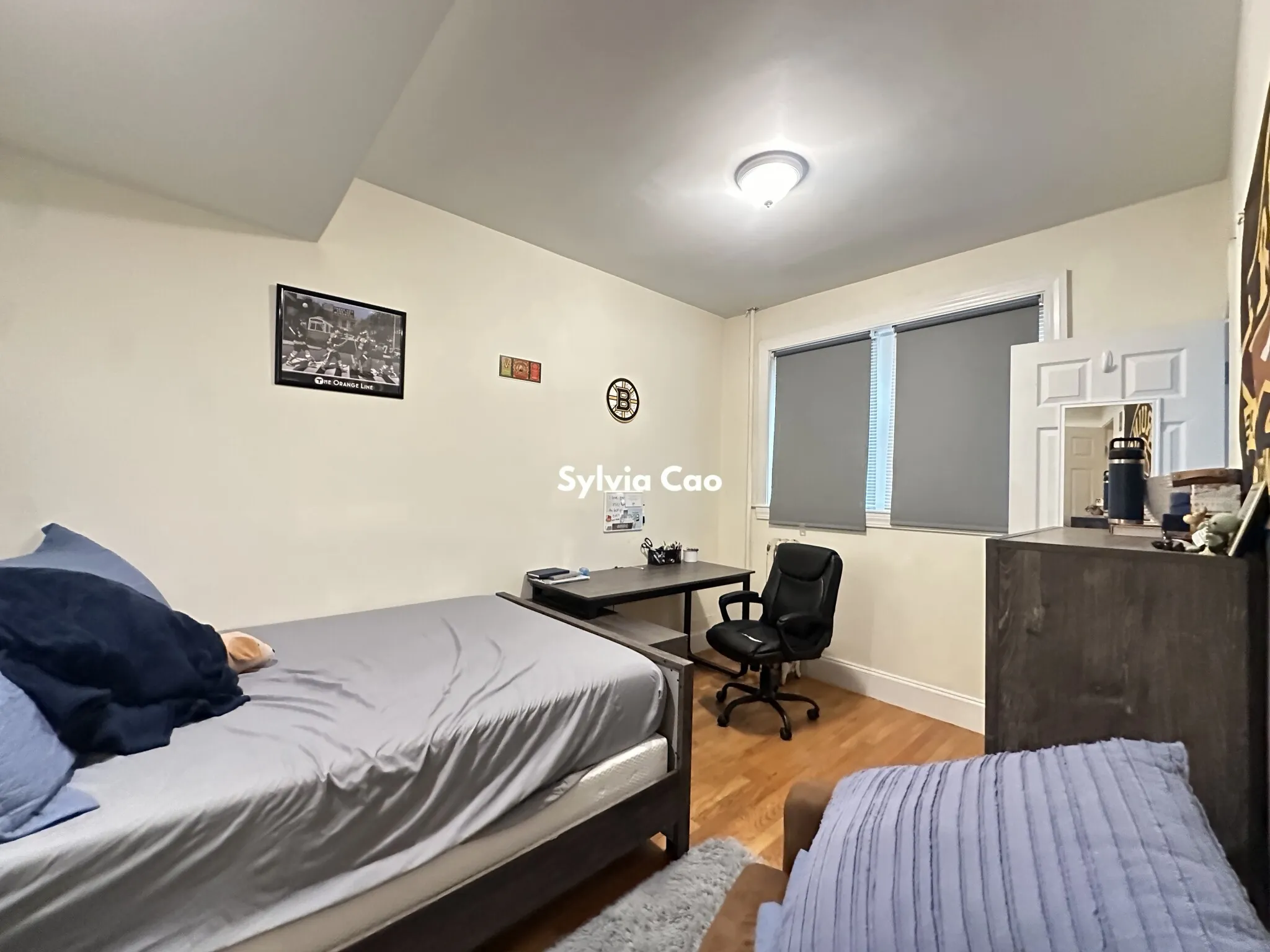 56 Egmont St, North Brookline