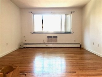 245 Kelton St, Brighton