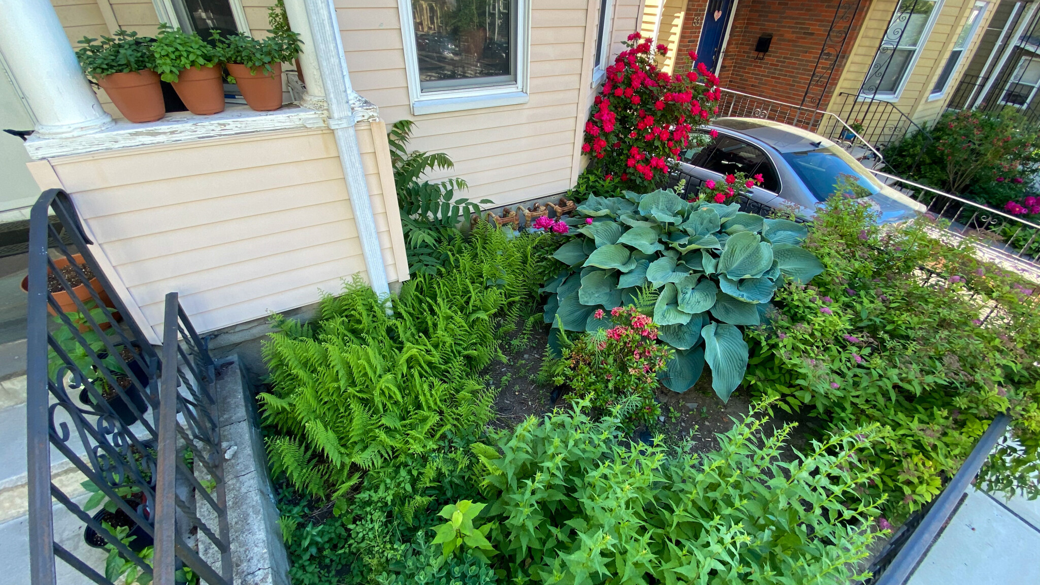 55 Lowell St, Spring Hill