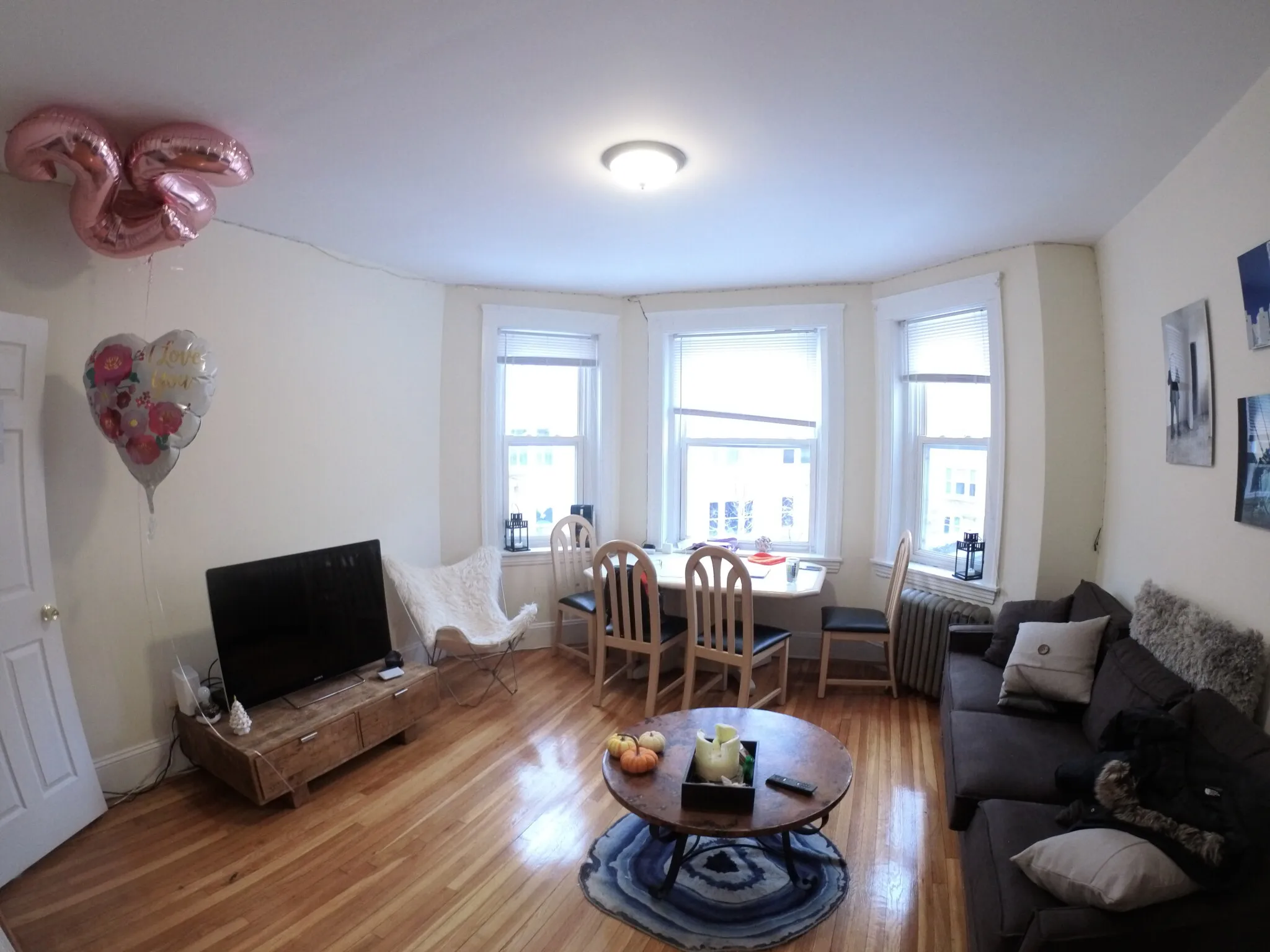 241 Freeman St, North Brookline