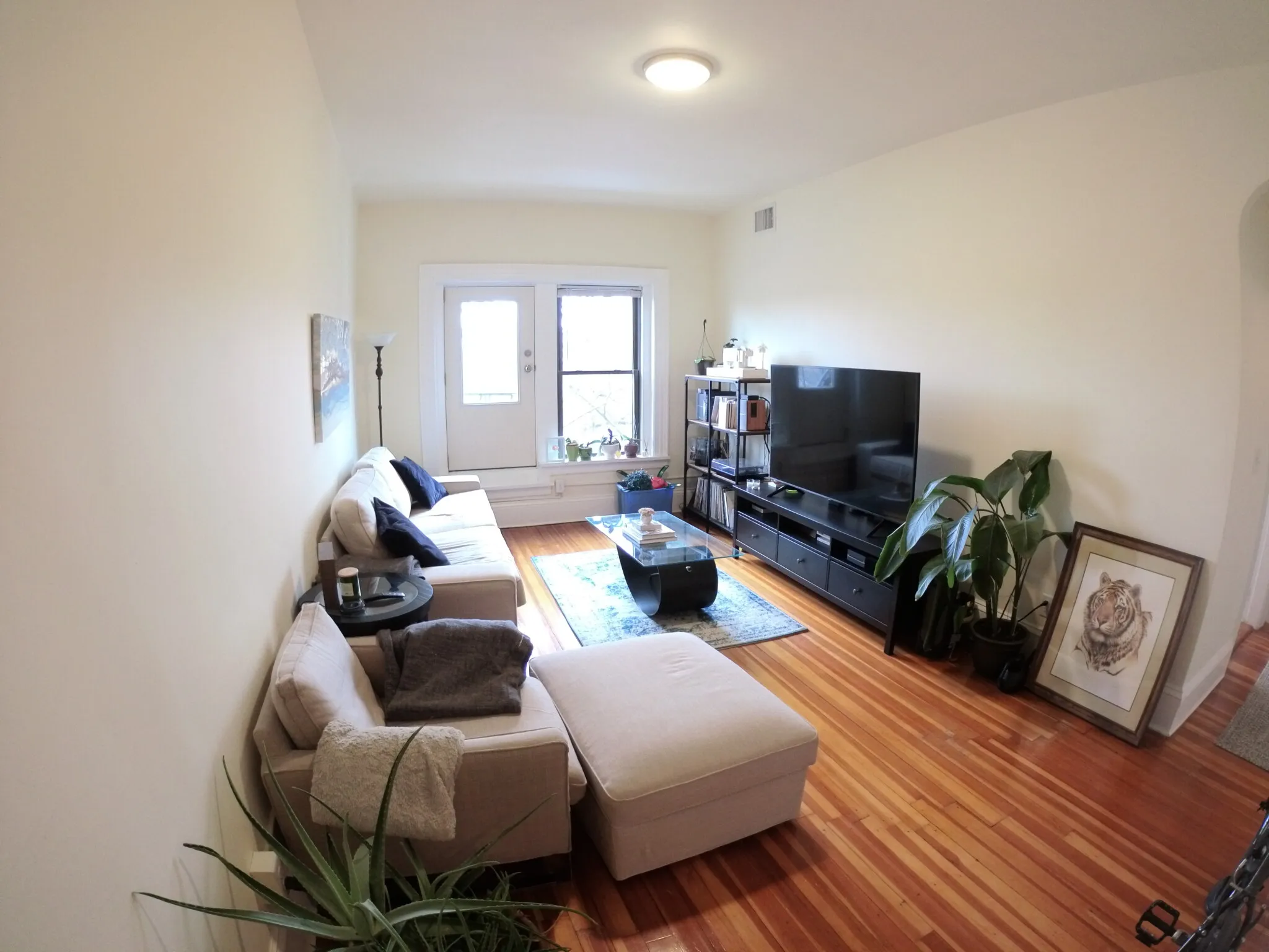 1463 Beacon St, Griggs Park