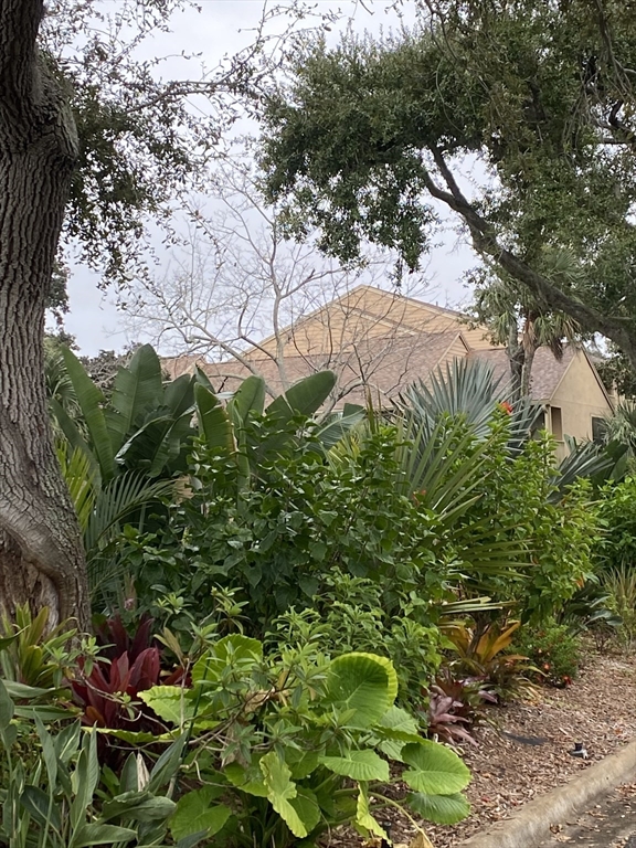 1401 Palmetto, Daytona Beach