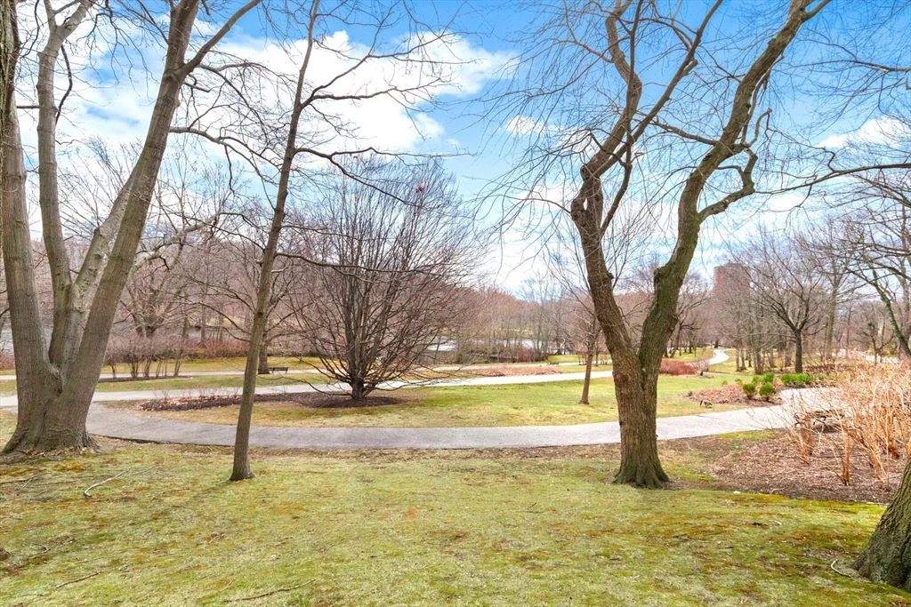 33 Pond Ave, Brookline Village
