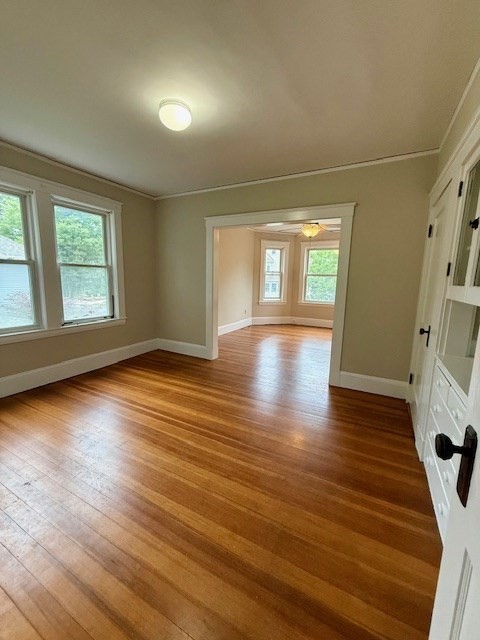 19 Summer, Wakefield