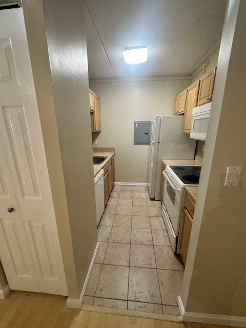 12 Ellery St, Mid-Cambridge