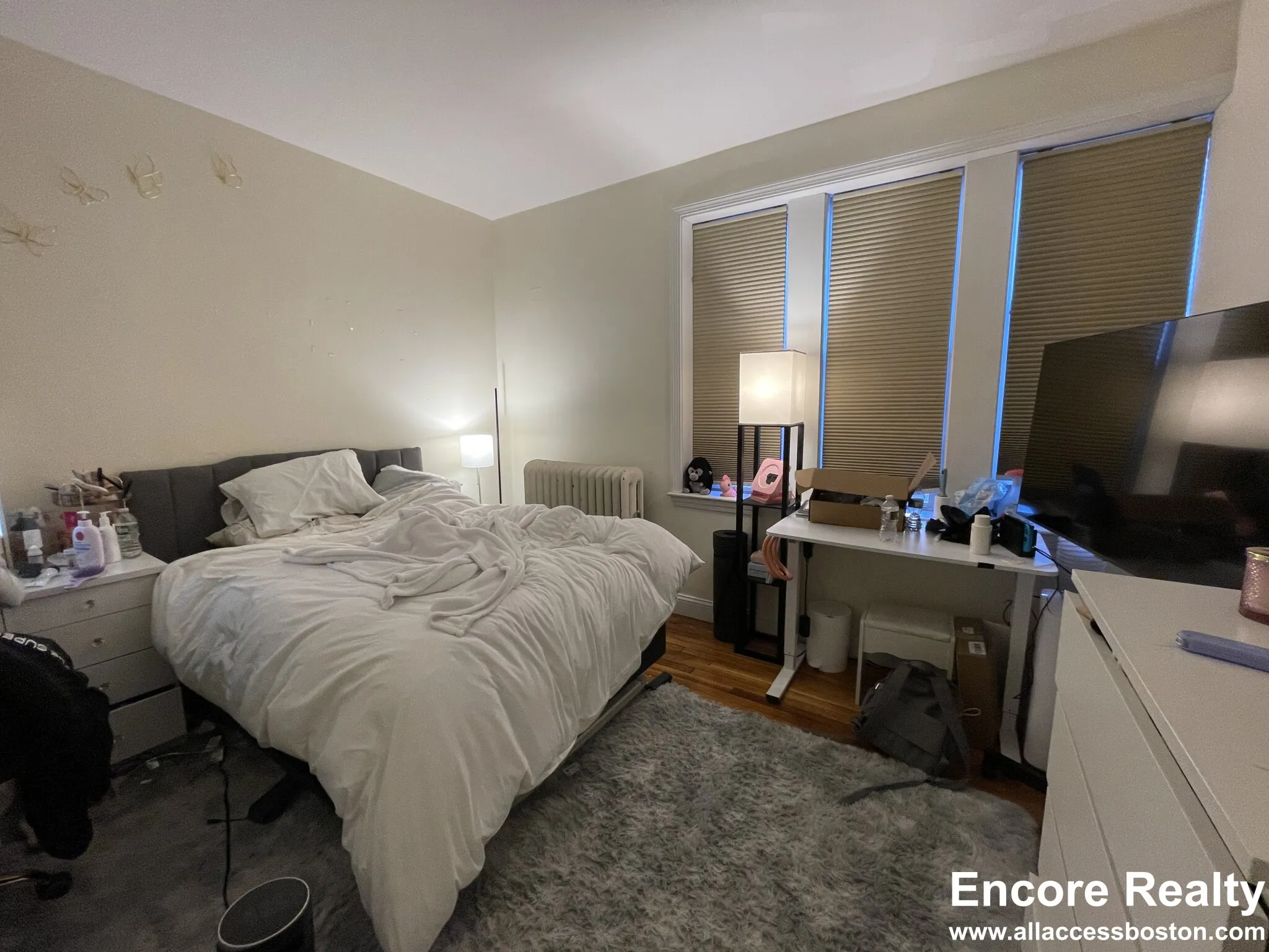 62 Egmont St, North Brookline