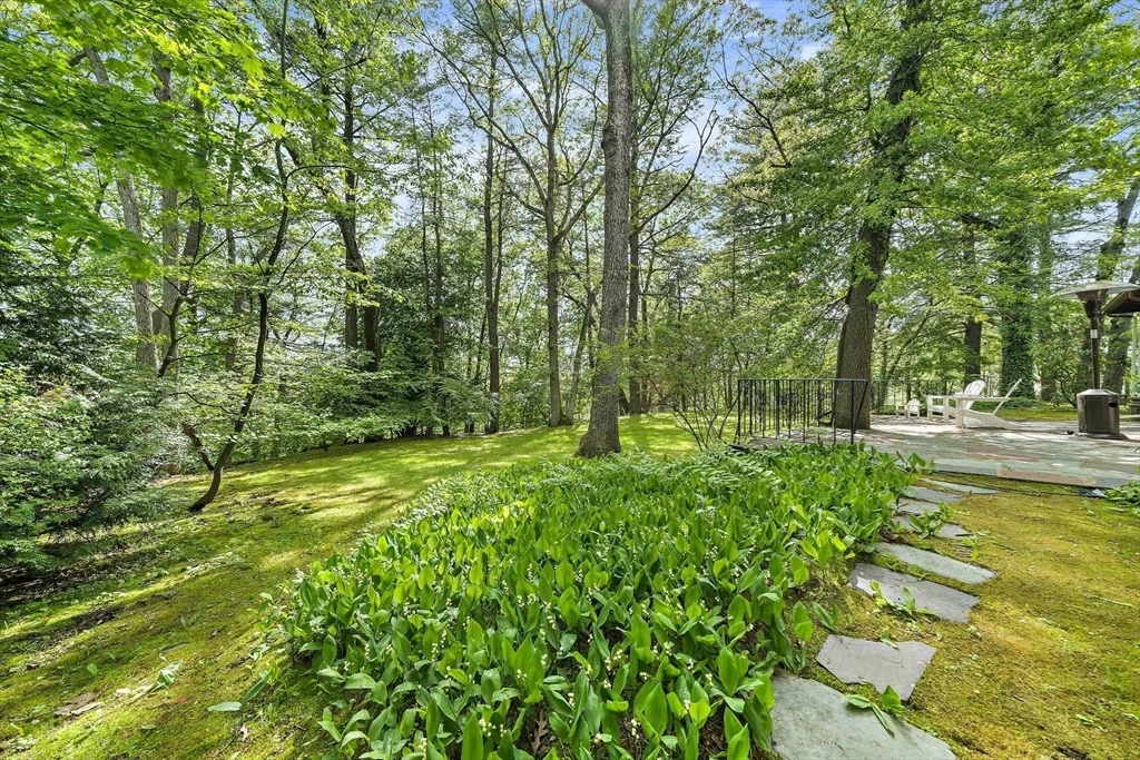19 Ridge Rd, Newton