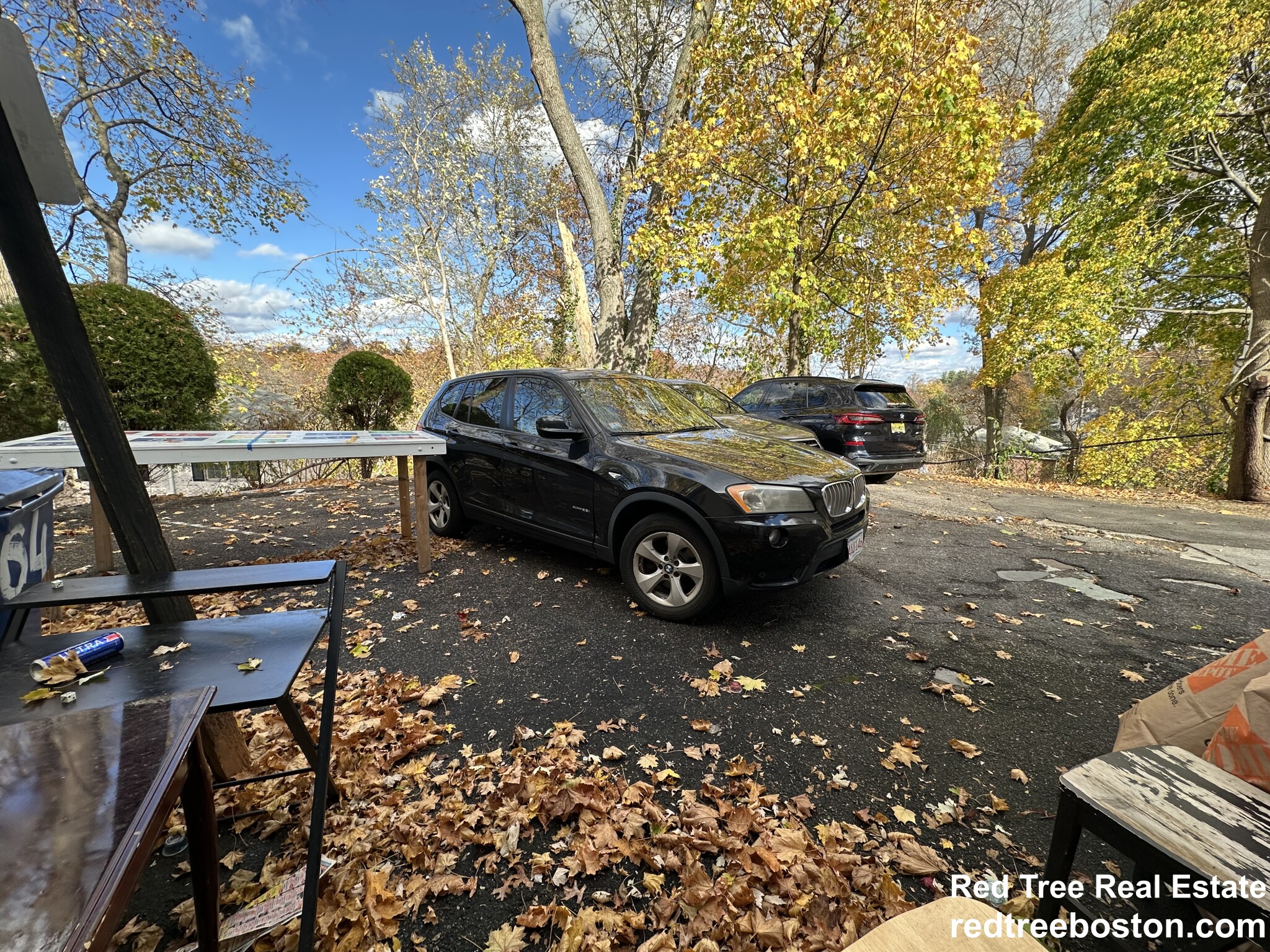 64 Undine Rd, Brighton