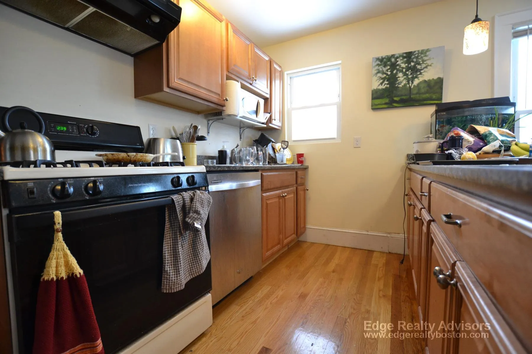 9 Donnybrook Rd, Brighton