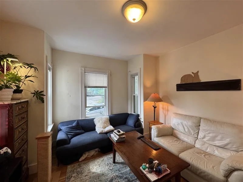 33 Belmont St, Spring Hill