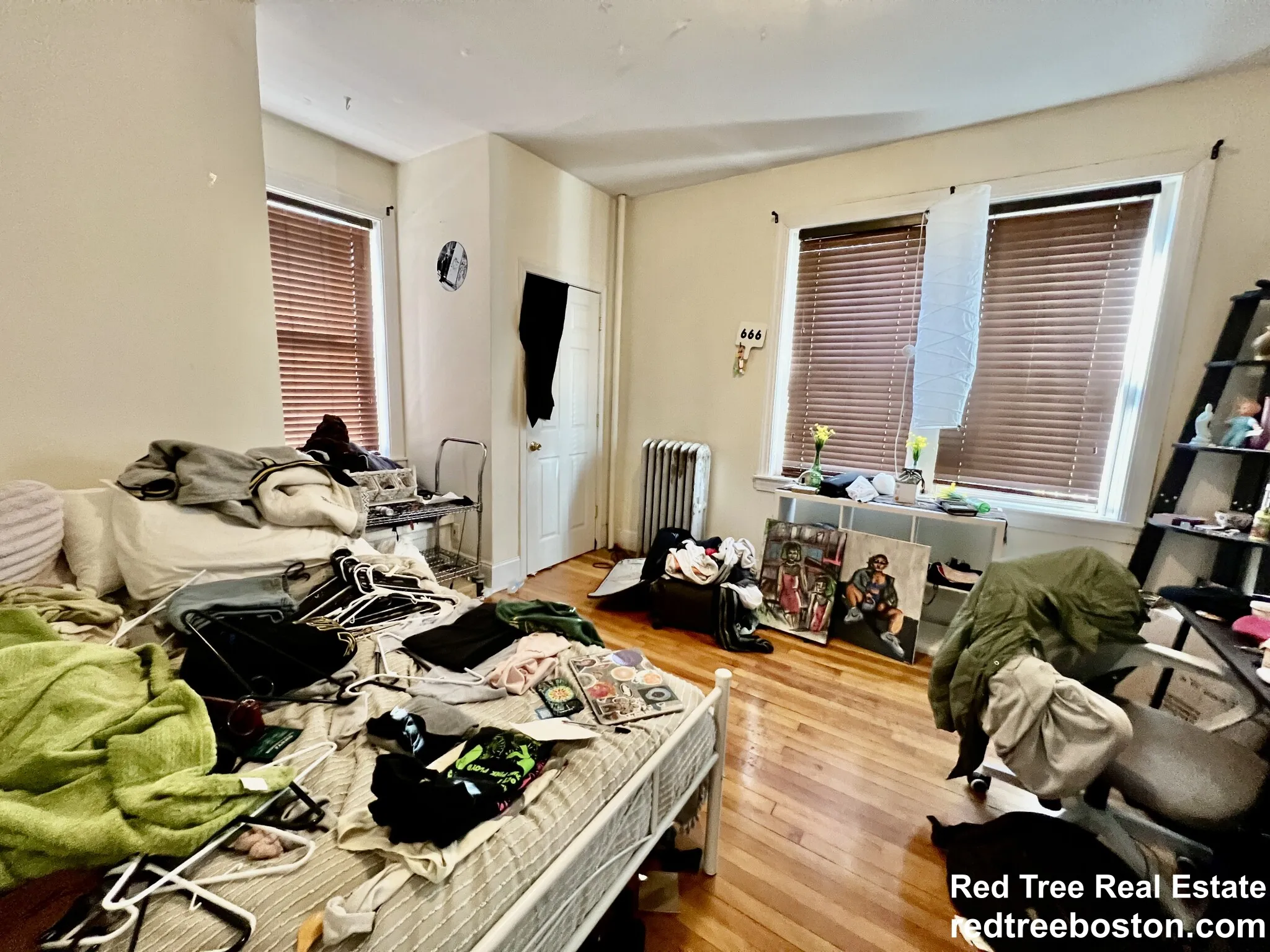 66 Egmont St, North Brookline