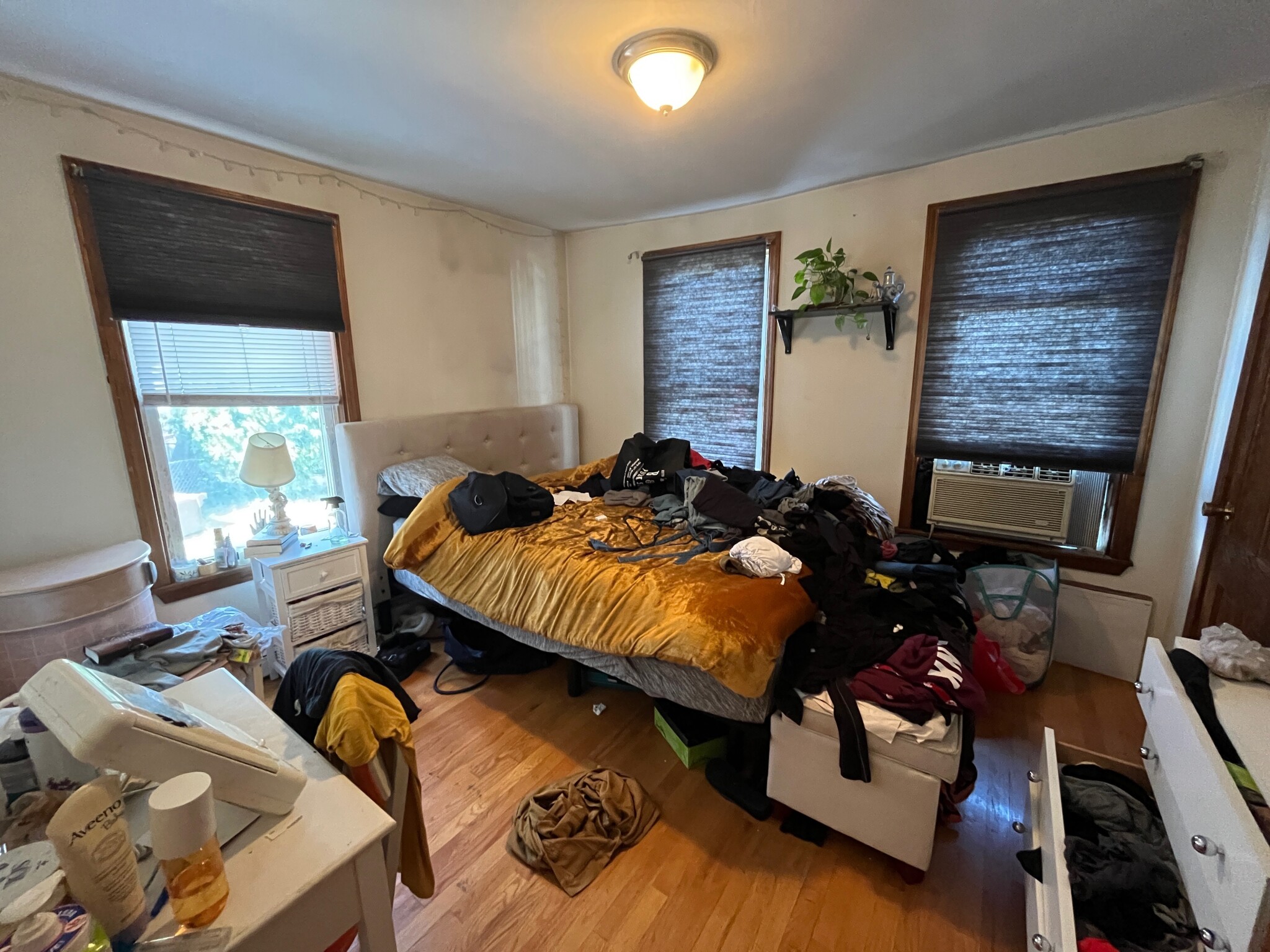 12 Abbey Rd, Lower Allston