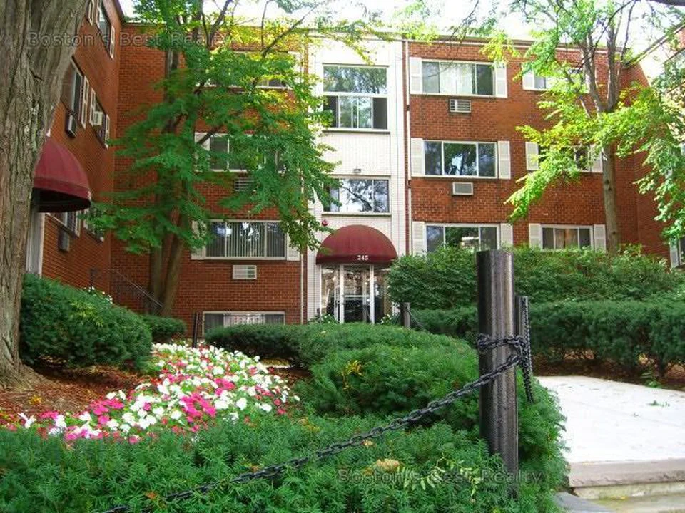 245 Kelton St, Brighton