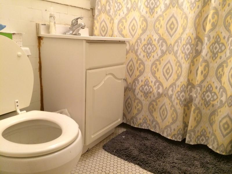 1209 Boylston St, Fenway