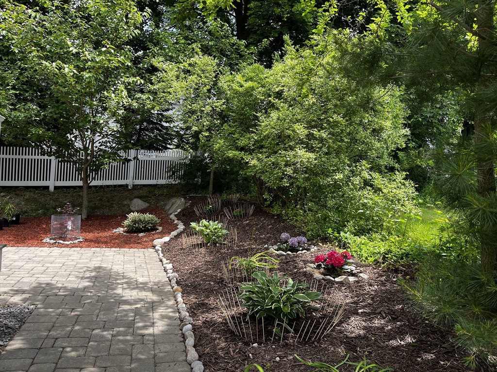 884 Chestnut St, Waban