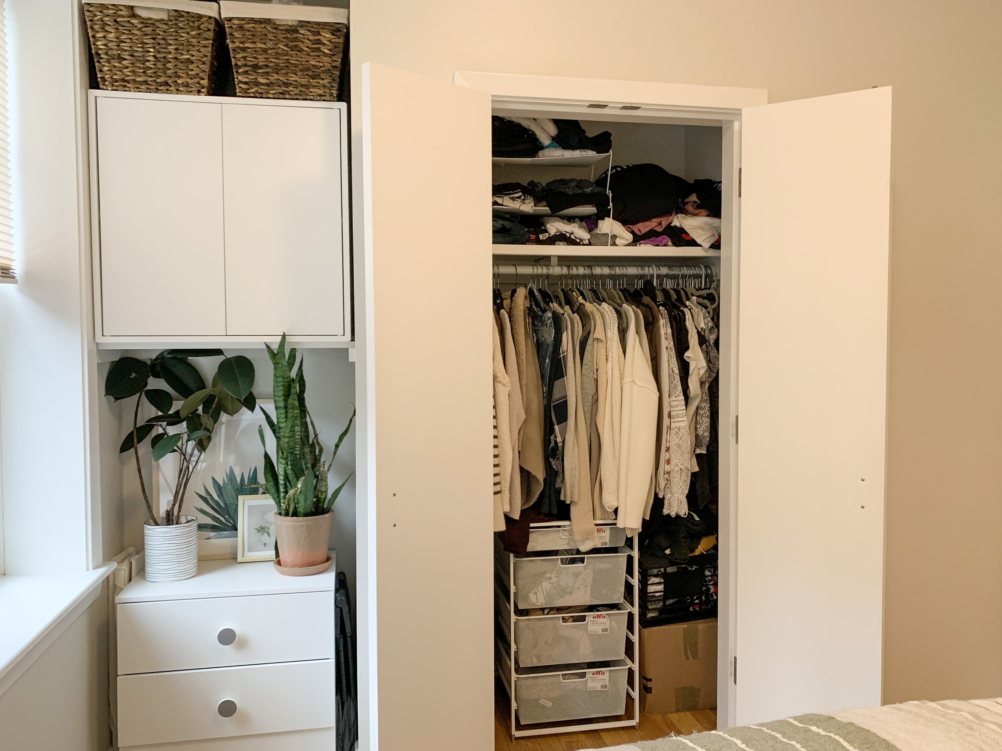 33 Anderson St, Beacon Hill