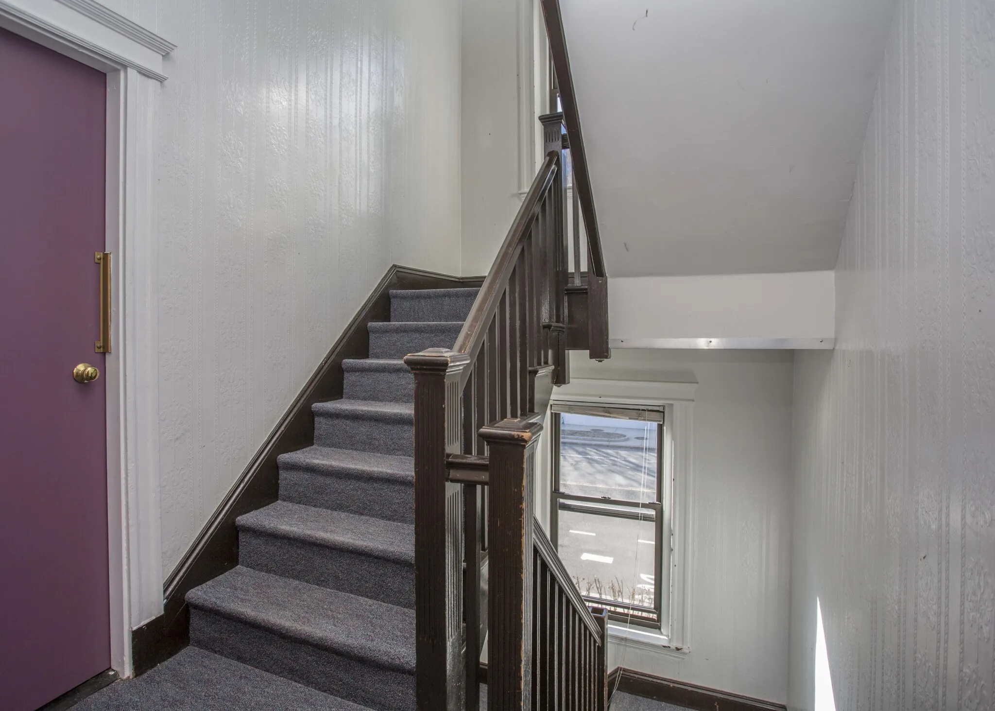 8 Elko St, Brighton
