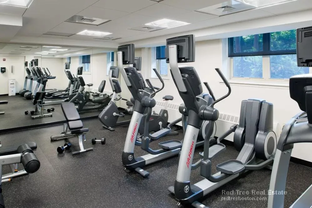 11 Camelot Ct, Brighton