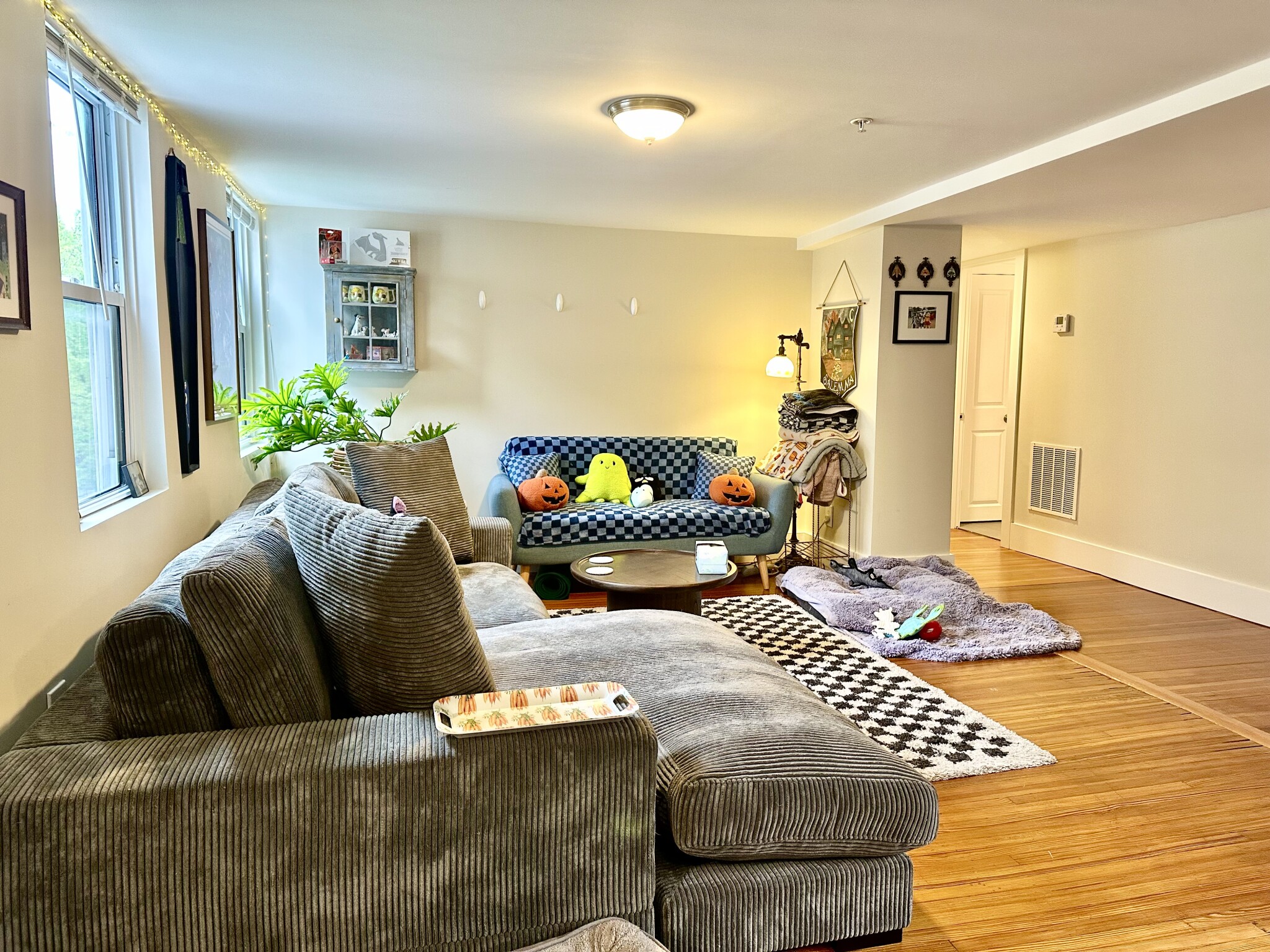 11 Forrester St, Salem